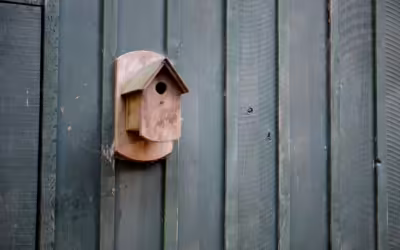 Bardage bois : une solution durable et esthétique pour un habitat plus écologique